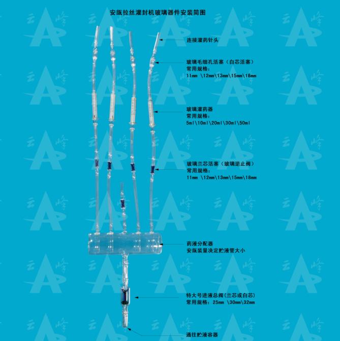 ������z���C(j��)�����������b���D